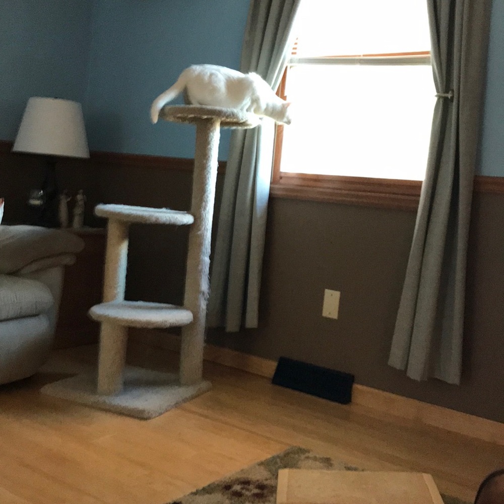 Meet your Posher, Michele